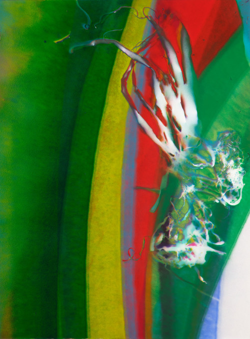 Abstract Explorations