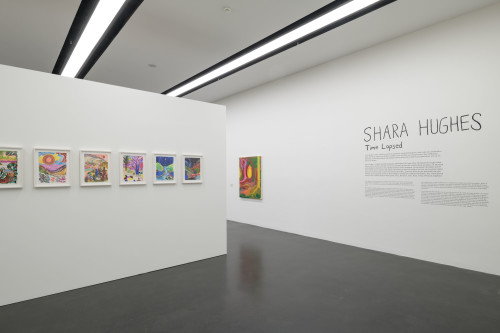 Shara Hughes