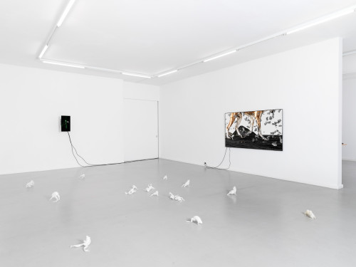 Caroline Schattling Villeval
