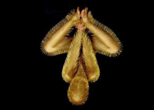 Myriam de Wurstemberger