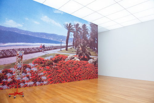 Parliament of Plants