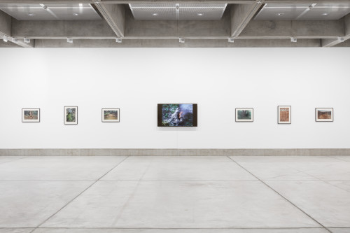 Ana Mendieta