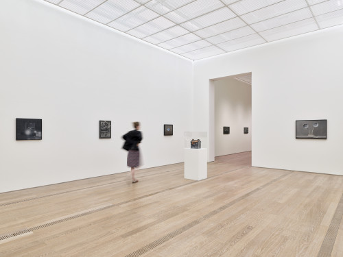 Vija Celmins
