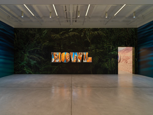 Doug Aitken