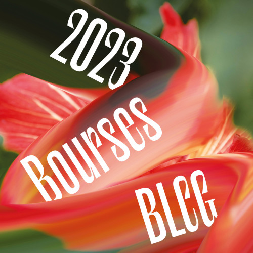 Grants of the City of Geneva 2023