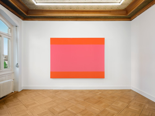 Olivier Mosset