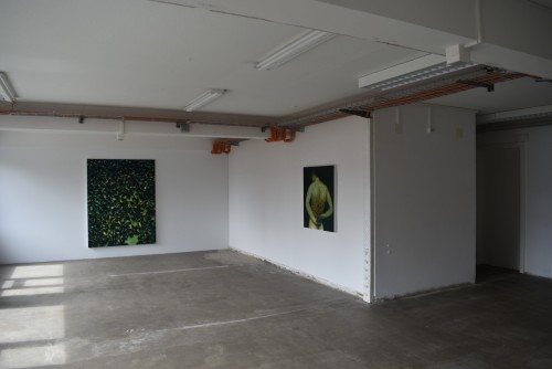 Xie Lei