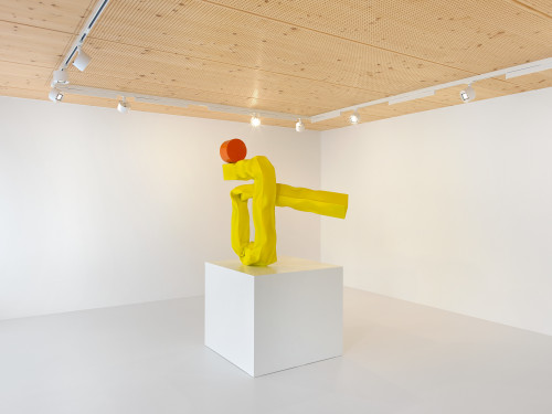 Carol Bove