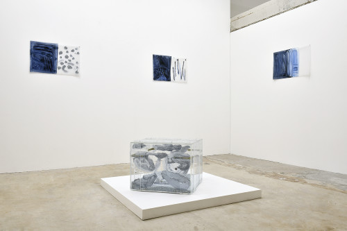 Catherine Bolle