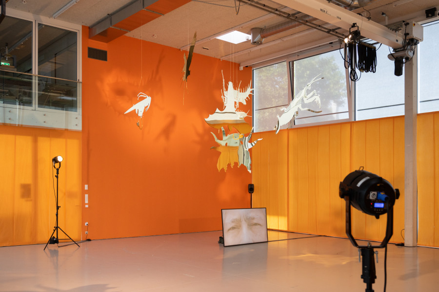 Installation view Derek Tumala Eyes Melted Gold. Natunaw na ginto ang mga mata, der TANK, Institute Art Gender Nature HGK Basel FHNW, 2025, photo: Finn Curry