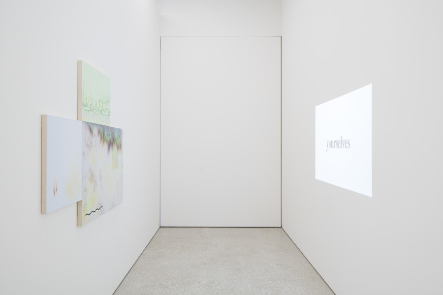Vue de l’exposition Mirage. La collection d’art BCV invite Natacha Donzé, Gina Proenza, Jean-Luc Manz et Denis Savary au Musée cantonal des Beaux-Arts de Lausanne, 2023 Photo : MCBA, Jonas Hänggi