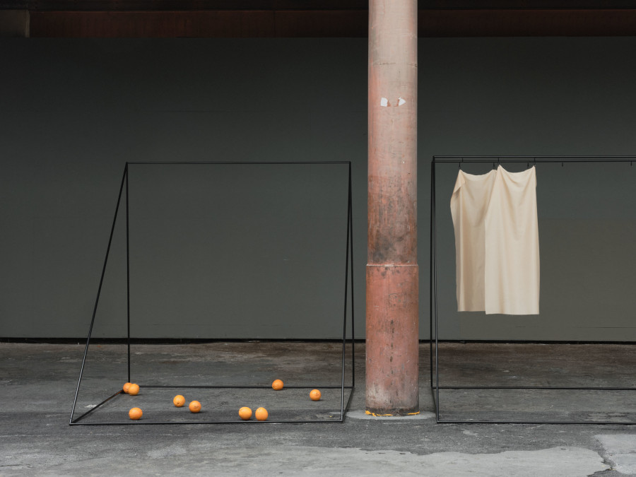 Exhibition view, Edit Oderbolz, I Have No Roots in This Life, Kunsthalle Arbon, 2024. Photo credit: Ladina Bischof