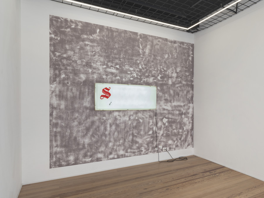 Exhibition view, Gina Proenza, Patron / Partner, galerie lange + pult, Geneva, 2026. Photo credit: © Julien Gremaud