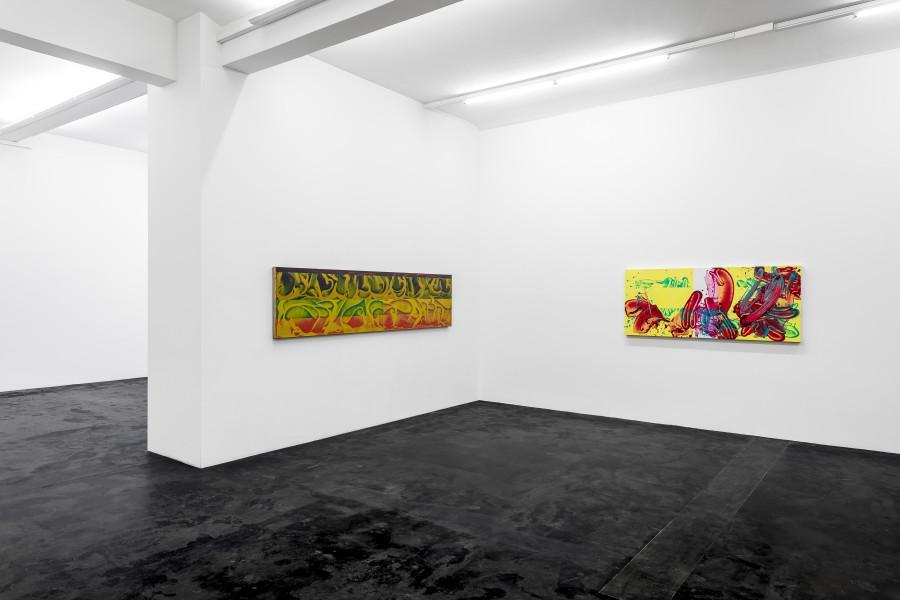 David Reed «Krefeld Miami New York», Installation view Häusler Contemporary Zürich, 2023 | photo: Peter Baracchi.