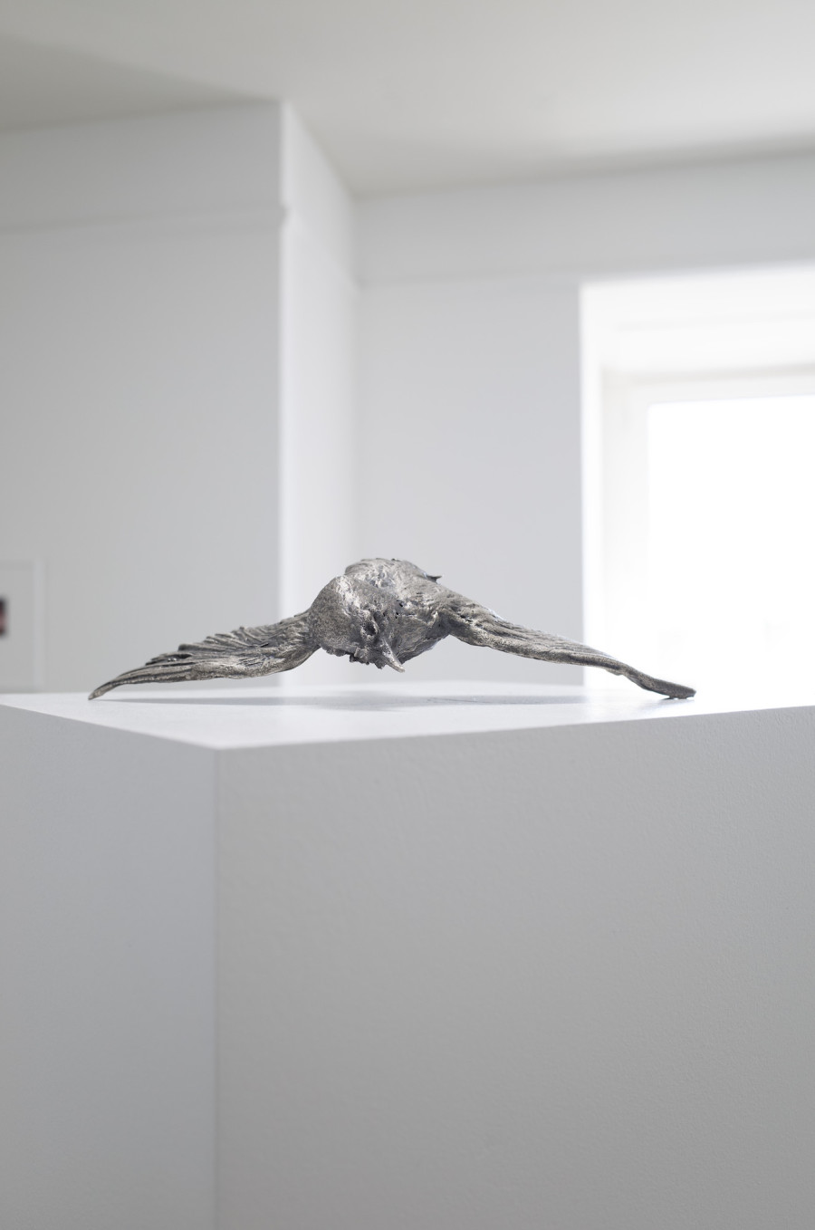 Iouri Podladtchikov & Elio Luxardo: You're Probably Right,Exhibition view, 2023, The Lighthouse, Photo credit: Iouri Podladtchikov.