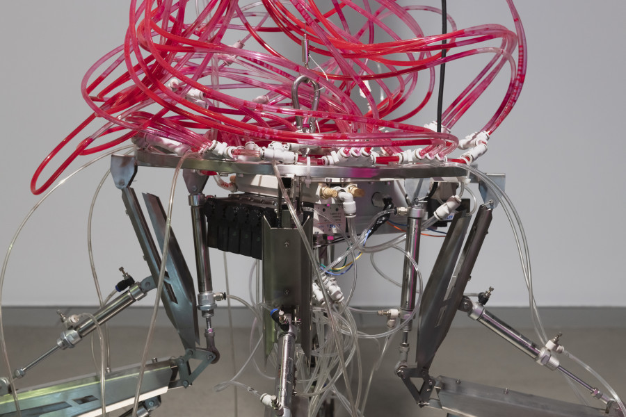 Yiming Yang, Splice, 2020, «Other Intelligences», 2025, HEK, photo: Franz Wamhof
