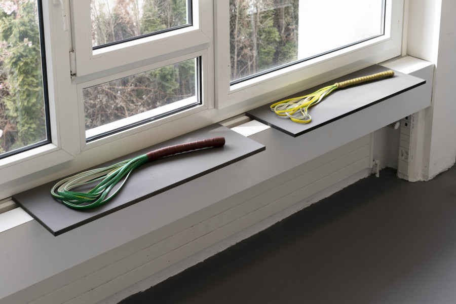 Marta Riniker-Radich - The thoughts mold the brain, as certainly as the brain molds the thoughts, 2016; Courtesy Galerie Francesca Pia. 2022 courtesy the artists and suns.works. Photography: Claude Barrault