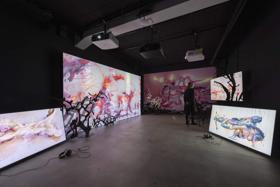 CROSSLUCID, Dwellers Between the Waters, 2023 – today, «Other Intelligences», 2025, HEK, photo: Franz Wamhof