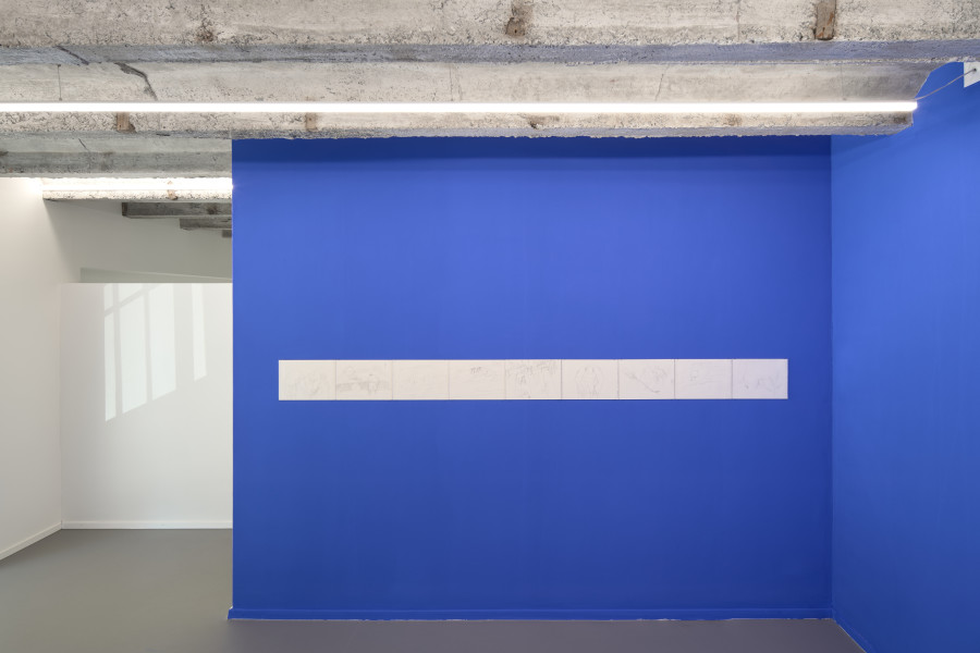 Andrea Büttner, Beelitz Juni 2020, 2020, pencil on paper, 17 x 24 cm each. Untitled (Blue Wall Painting), 2023, interior emulsion paint, dimensions variable, Ed. of 5. Photo: Max Ehrengruber, Courtesy of the artist and Galerie Tschudi