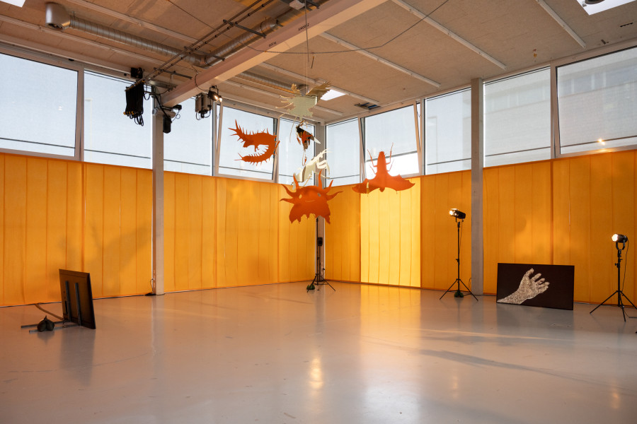 Installation view Derek Tumala Eyes Melted Gold. Natunaw na ginto ang mga mata, der TANK, Institute Art Gender Nature HGK Basel FHNW, 2025, photo: Finn Curry