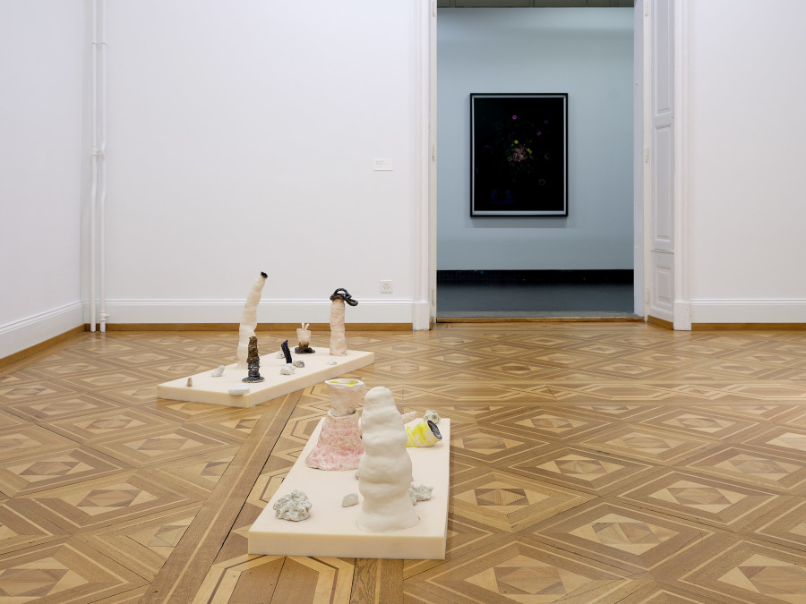 Exhibition view, Cantonale Berne Jura 2022, Kunstmuseum Thun, 2022-2023. Photo credit: David Aebi