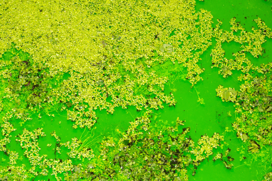 Installation view: Fondation Beyeler, Riehen/Basel, 2021 Courtesy of the artist; neugerriemschneider, Berlin; Tanya Bonakdar Gallery, New York / Los Angeles © 2021 Olafur Eliasson Photo:Pati Grabowicz