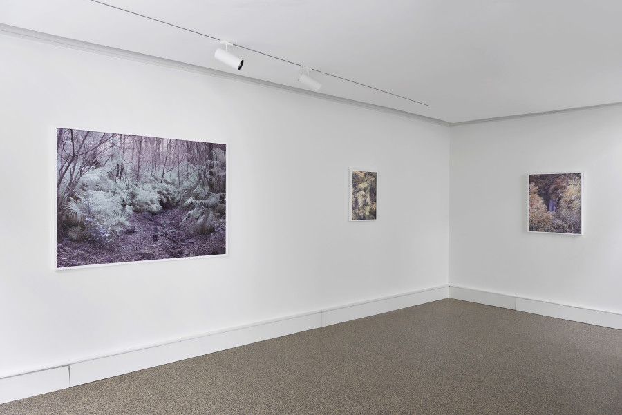 Exhibition view, Yann Gross, Greetings, Wilde, 2024. Photo credit: Philipp Hänger