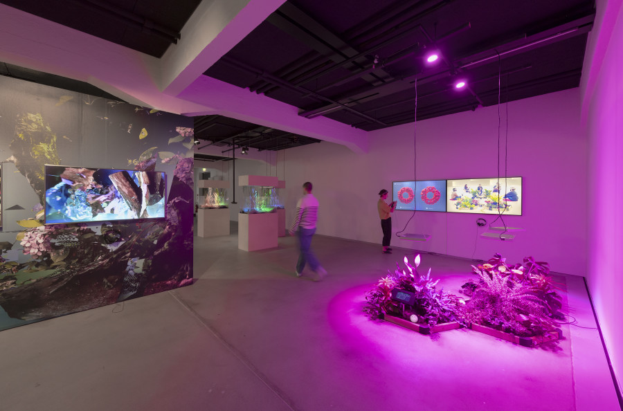 «Earthbound – In Dialogue with Nature», Installation view, 2022, HEK, Photos: Franz Wamhof.