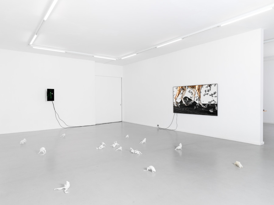 View of the exhibition Caroline Schattling Villeval, Carences et toute-puissance, CEC, 2024 Exhibition from January 19 to March 1, 2024. Courtesy Centre d’édition contemporaine, Geneva. Photo : © Sandra Pointet
