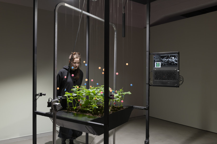 Špela Petrič, PL’AI, 2020, «Other Intelligences», 2025, HEK, photo: Franz Wamhof
