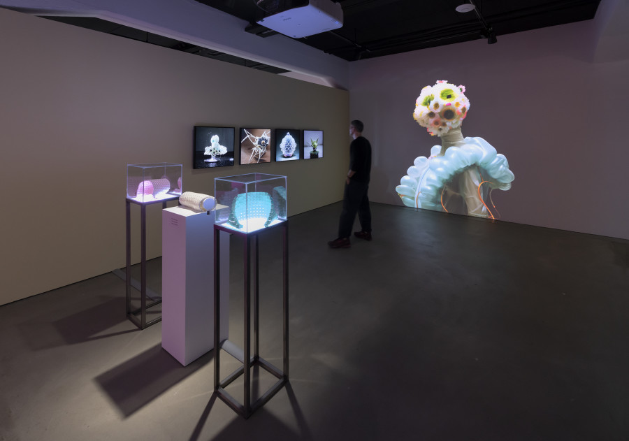 Sookyun Yang, Exotic Species in the Robot Ecosystem, 2023, «Other Intelligences», 2025, HEK, photo: Franz Wamhof