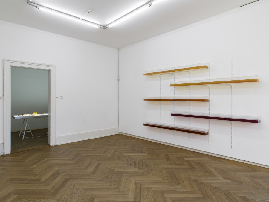 Franziska Baumgartner, Zellulosezucht, 2022, Installationsansicht Kunsthaus Langenthal, Foto: CE, Courtesy of the artist