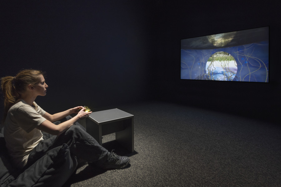 Libby Heaney, Q is Climate (?), 2023, «Libby Heaney: Quantum Soup», 2024, HEK, photo: Franz Wamhof