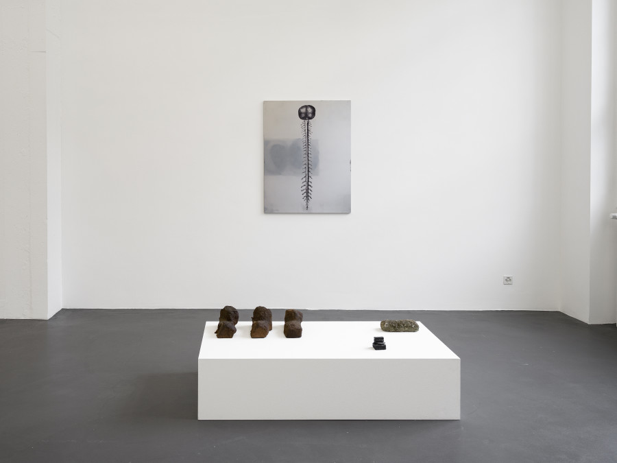 Installation view, Dietrich, curated by Anne Pontégnie, Galerie Francesca Pia, Zurich, 2024. Photo: Cedric Mussano