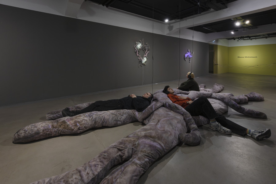 Isabell Bullerschen, Stellar phlegm, 2026 «Lukas Truniger, Isabell Bullerschen, Rhona Mühlebach – Swiss Media Art – Pax Art Awards 2025», 2026, HEK, photo: Franz Wamhof