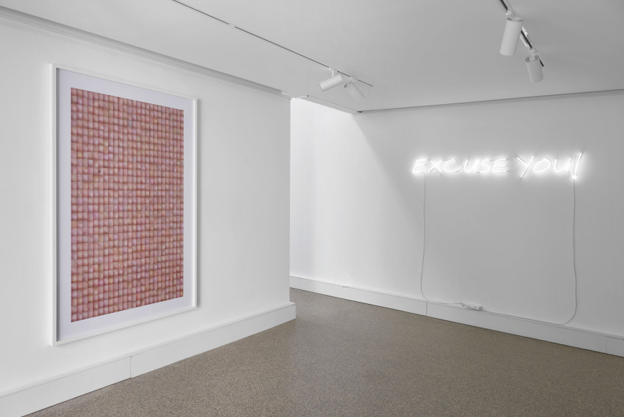 Exhibition view, Rafael Lozano-Hemmer, EXCUSE YOU!, Wilde, 2022. Photo: Philipp Hänger