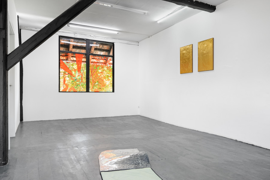 Leila Peacock & Gil Pellaton, Installation view, 2023. Photo: Kilian Bannwart