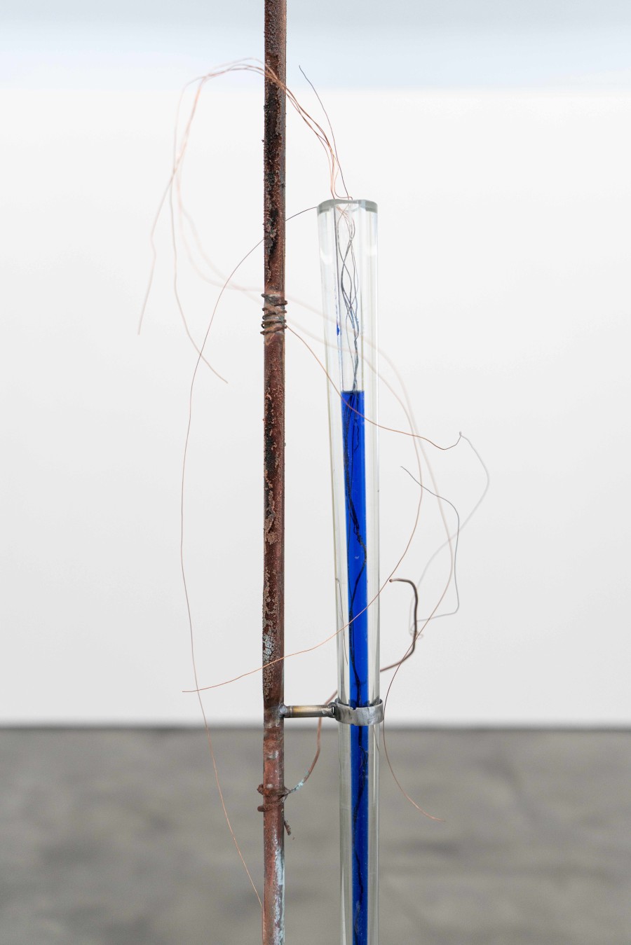 Retainer - Continuity II, detail, 2023, Glass, stainless steel, copper wires, ammonia, water, plastic, 190 x 20 x 15 cm. Photography courtesy Zoé Aubry and Looming