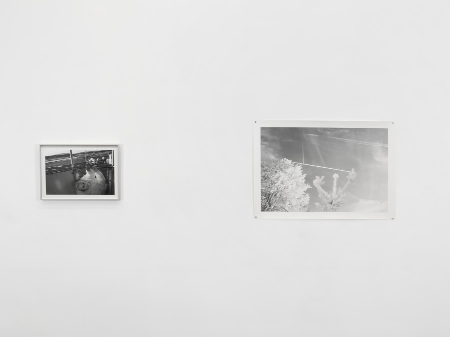 Exhibition view, Critical Girls, xippas, Geneva, 2026. Photo credit: Julien Gremaud. Courtesy Xippas