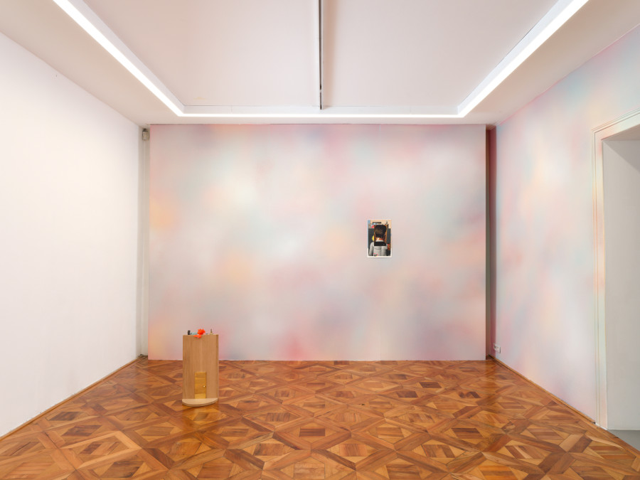 Hippolyte Hentgen, Nuée, 2025, installation de collages sur peinture murale acrylique, vue de l’exposition « Chambre à deux lits » à la Villa du Parc - centre d’art contemporain - Aurélien Mole, 2025