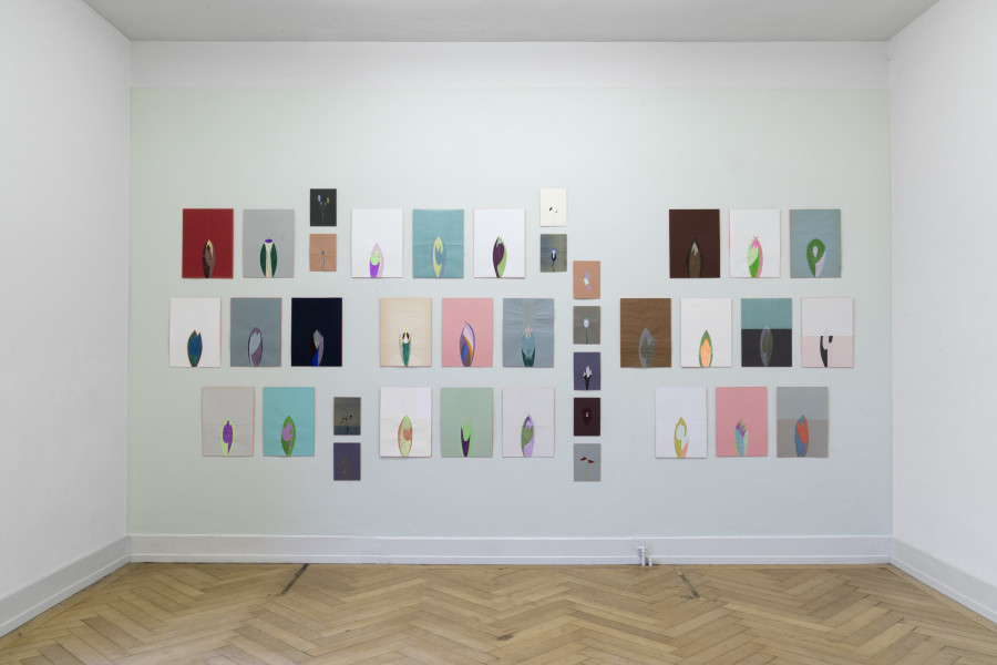 Regionale 24, installation view, room 4, Mireille Gros, Plantes planΓ©taires, 2023, Photo: Nina Rieben.