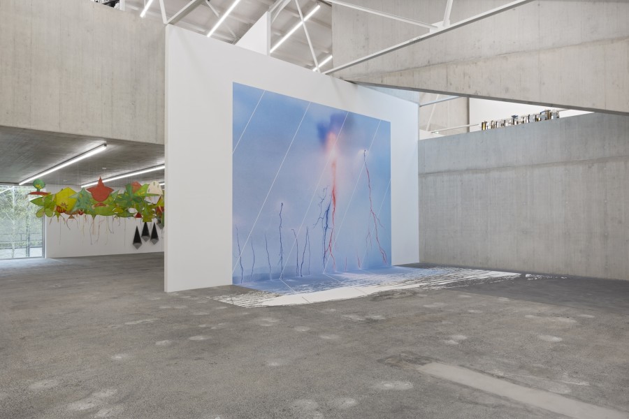 Joan Jonas, Draw on the wind, 2018. Paper painted kites, bamboo, dimensions variable. Courtesy of the artist and Galleria Raffaella Cortese, Milan, © 2024, ProLitteris, Zurich. Thérèse Bolliger, Inhabited Language 2024. Screening material, each 105 x 105cm, 40 elements. Courtesy of the artist. Daniela Keiser, ADER, 2024. Raumvariable Wand-Boden-Installation, Fototapete, von Hand angefertigte Bodenfarbe aus Kreiden, Jurakalk, Wasser, Gummiarabicum, pulverisiertes Schmerzmittel, 538,5 x 681cm (Wand). Courtesy of the artist and STAMPA Galerie, Basel. Ausstellungsansicht / Installation view Kunsthaus Baselland 2024. Foto / Photo: Gina Folly