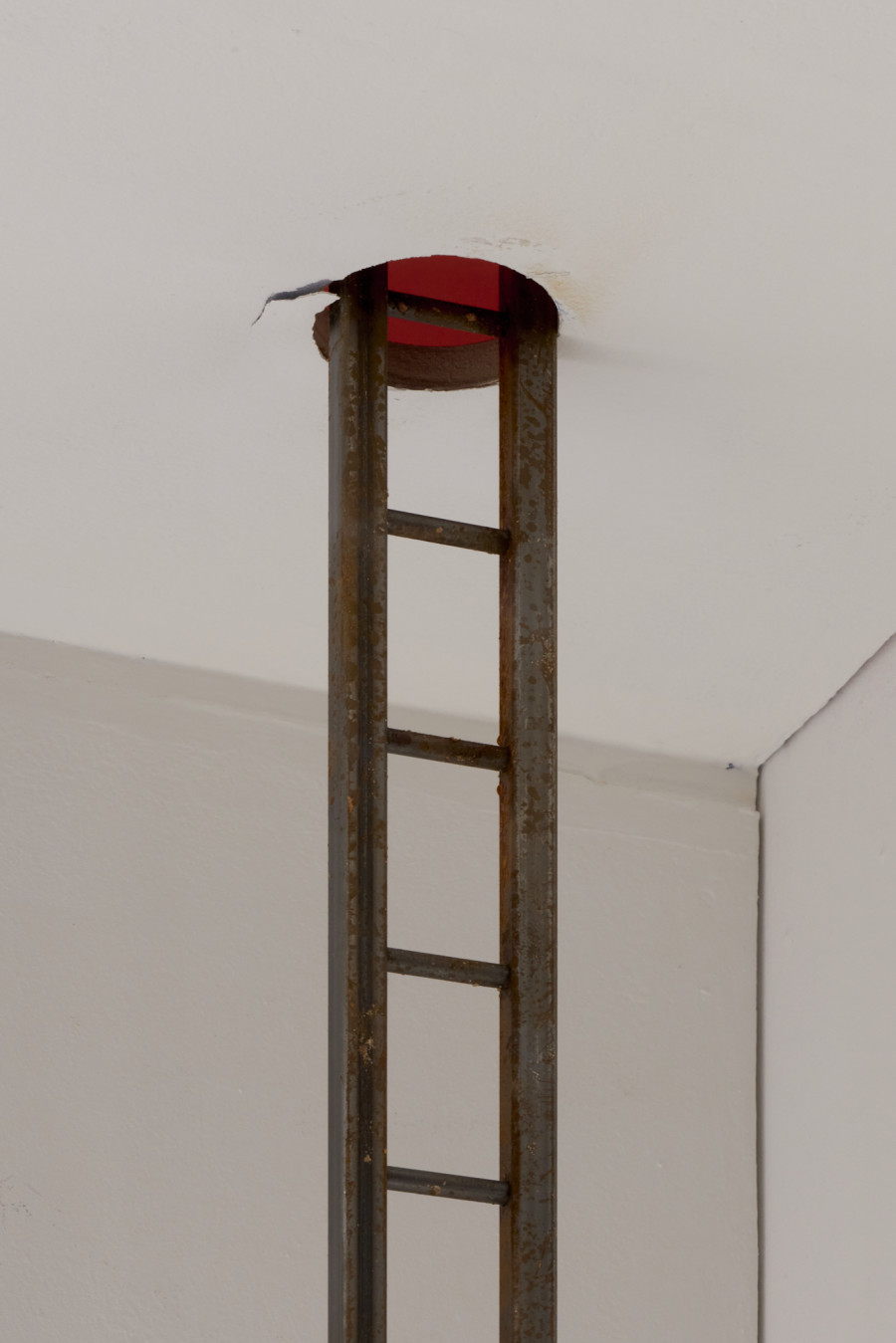 Installation view, Margot Sparkes & Guillaume Baeriswyl, Deux pattes bon ! Quatre pattes mieux !, La Placette, 2023. Photo credit: Guillaume Python