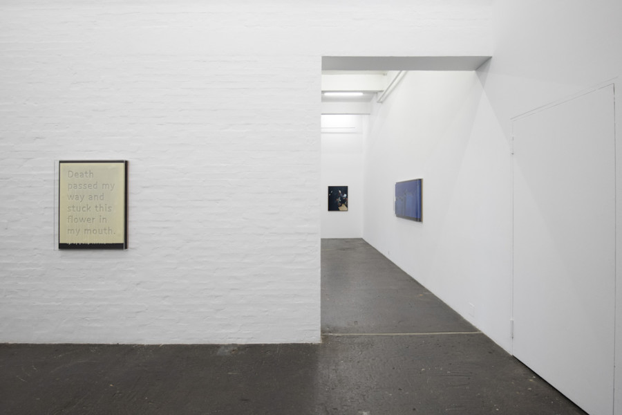 Éric Baudelaire, Death Passed My Way and Stuck This Flower in My Mouth, 2021; L’Homme à la fleur, 2021; Baltic Sea (surface temperature anomaly), 1859 – 2018, 2021. Courtesy: the artist. Photo: Kunst Halle Sankt Gallen, Sebastian Schaub.