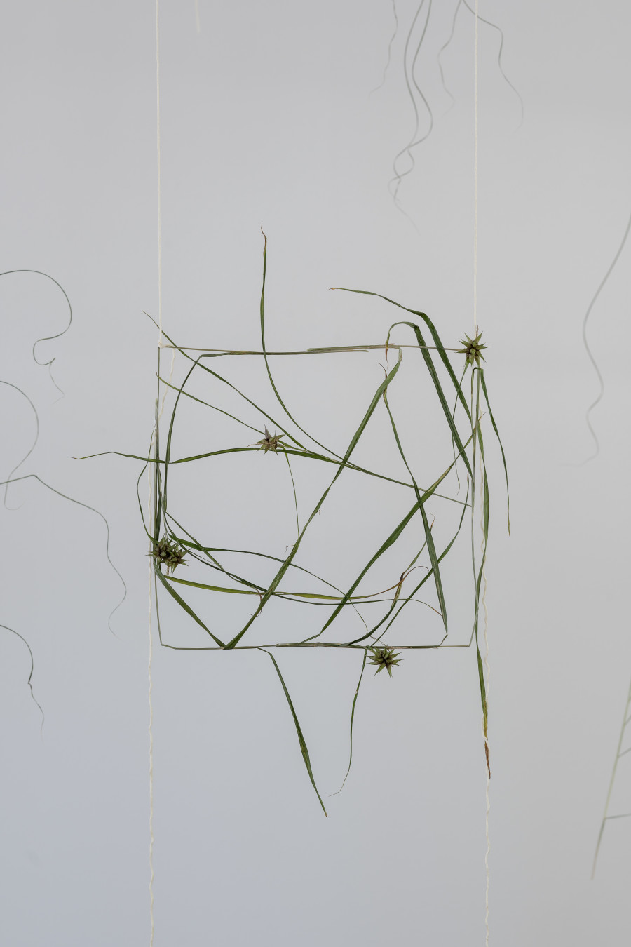 Julia Steiner, «Partitur der Natur», 2023. Ortsspezifische Installation. Baumwollgarn, Pflanzenteile, Flusssteine. Foto: Ullmann.Photography
