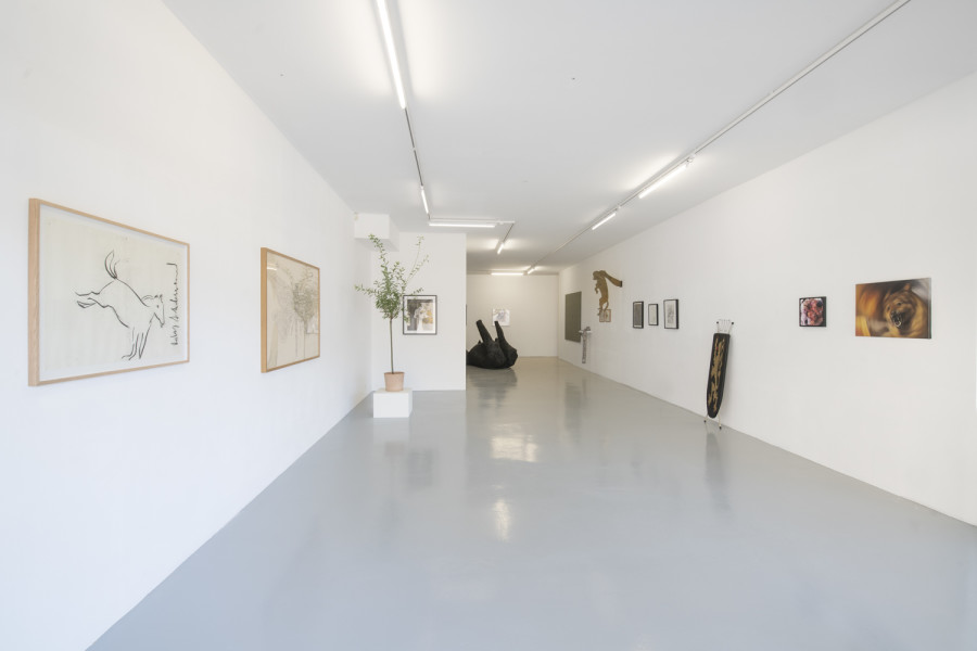 Installation view, INTO THE WILD, Wilde, 2022. Photo: Grég Clement