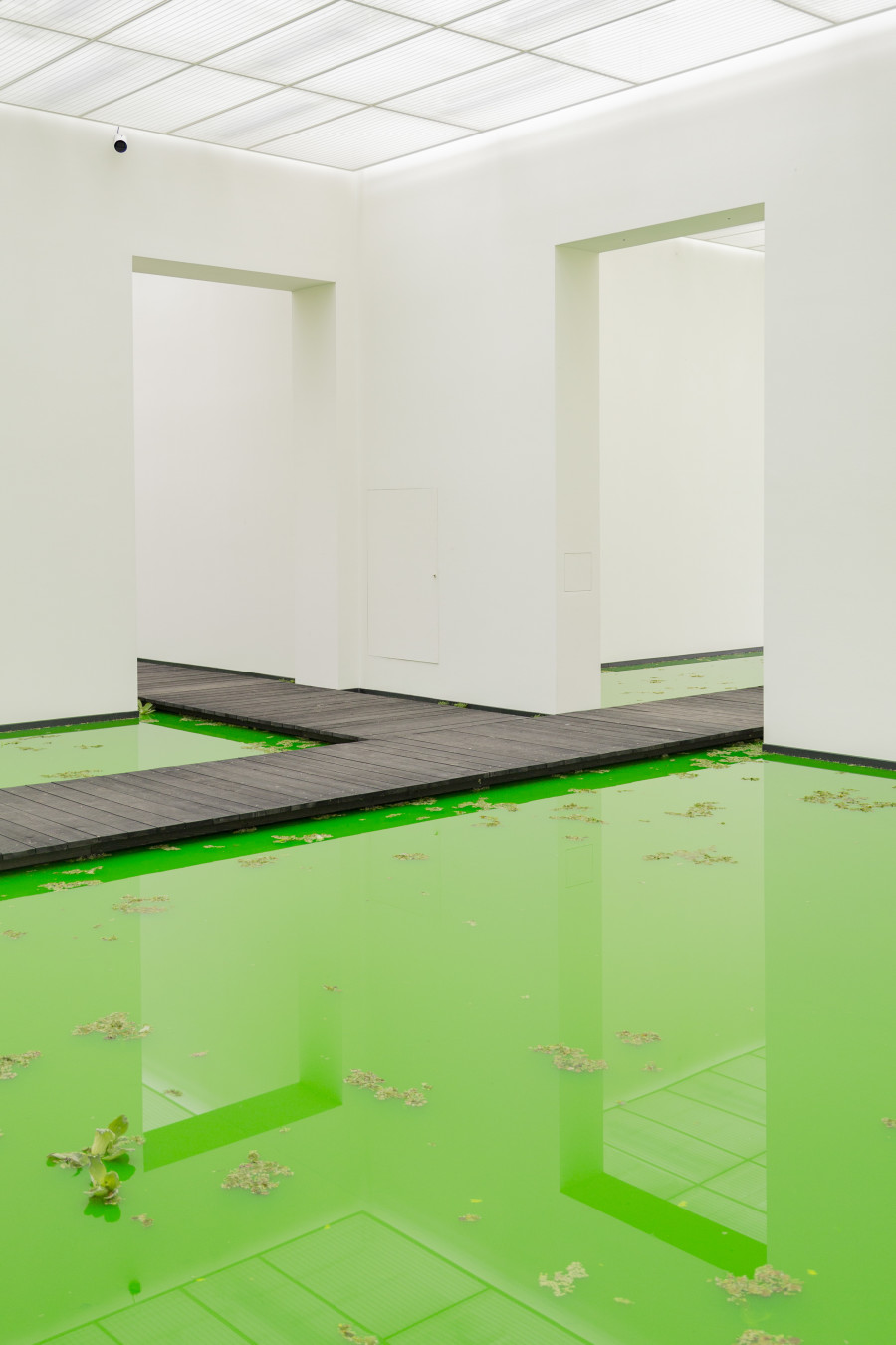 Installation view: Fondation Beyeler, Riehen/Basel, 2021 Courtesy of the artist; neugerriemschneider, Berlin; Tanya Bonakdar Gallery, New York / Los Angeles © 2021 Olafur Eliasson Photo:Pati Grabowicz