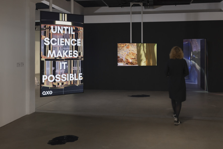 Exhibition view «Libby Heaney: Quantum Soup», 2024, HEK, photo: Franz Wamhof