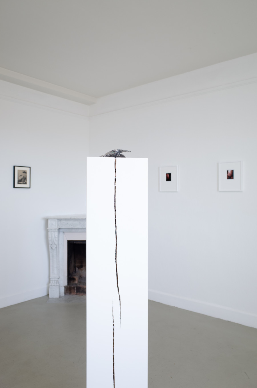 Iouri Podladtchikov & Elio Luxardo: You're Probably Right,Exhibition view, 2023, The Lighthouse, Photo credit: Iouri Podladtchikov.