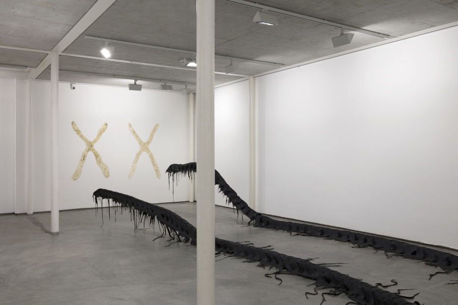 Ausstellungsansicht / Exhibition view, Vanessa Billy, Kunst Raum Riehen, 2024. Photo: Gina Folly